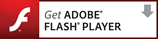 the latest version of the Flash PlayerFlash Player