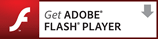 最新のFlash Player